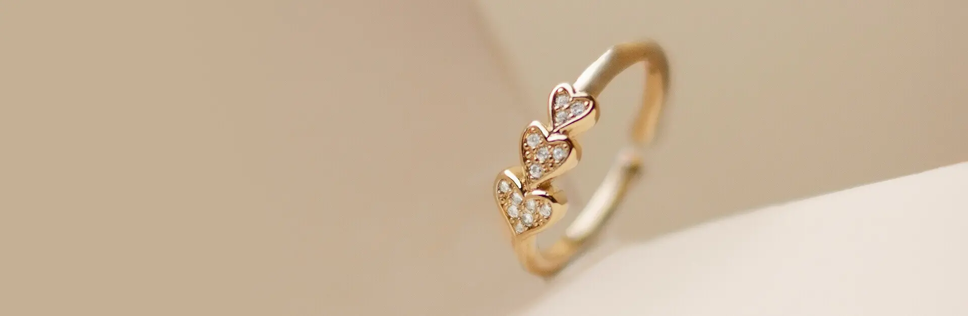 Pourquoi nous choisir ?